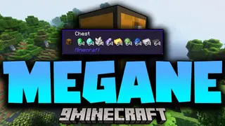 Megane Mod (1.20.1, 1.19.2) – Acquire Information Better