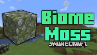 Biome Moss Mod (1.21.5, 1.20.1) – Biome-Specific Moss Colors