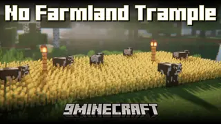 No Farmland Trample Mod (1.21.1, 1.20.1) – Walk Freely on Your Crops