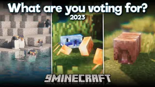 What Are You Voting For? 2023 Mod (1.20.1, 1.19.2)