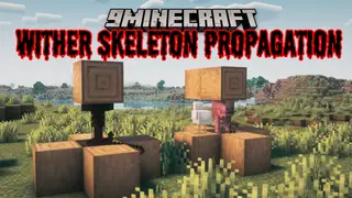 Wither Skeleton Propagation Mod (1.20.1) – Skeletons Changing Into Wither Skeletons