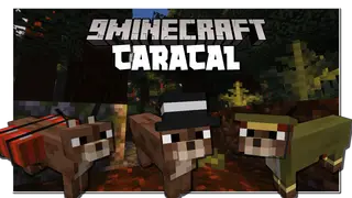 Caracal Mod (1.20.4, 1.20.1) – Steppe Lynxes in Minecraft