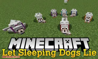 Let Sleeping Dogs Lie Mod (1.21.5, 1.20.1) – Dogs will be Able to Lie Down After Sitting