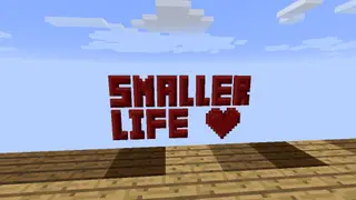 Smaller Life Map (26.2, 1.20.1) for Minecraft