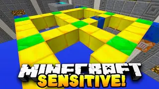 Sensitive Puzzle Map (26.2, 1.20.1)