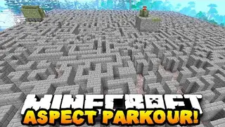 Aspect Parkour Map (26.2, 1.20.1)