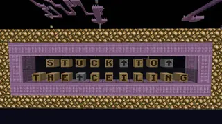Stuck to the Ceiling Map (26.2, 1.20.1)