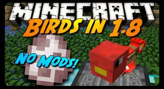 Birds and Flying Machines Map (26.2, 1.20.1)