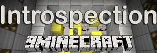 Introspection Puzzle Map (26.2, 1.20.1)