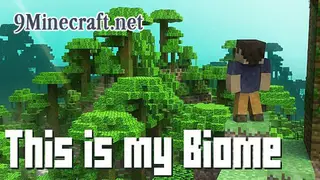 This is my Biome Map (26.2, 1.20.1)