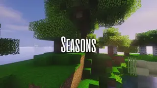 Seasons Resource Pack (1.18.2, 1.17.1)