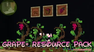 Grapes+ Resource Pack (1.21.1, 1.20.1) – Texture Pack