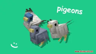 Pigeons Resource Pack (1.21.1, 1.20.1) – Texture Pack