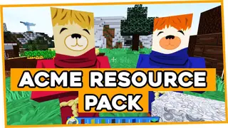 ACME Resource Pack (1.17.1, 1.16.5) – Texture Pack