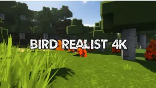 Bird Realist 4K Resource Pack (1.13.2, 1.12.2) – Texture Pack