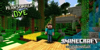 HerrSommer Dye Resource Pack – Texture Pack
