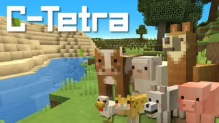 C-Tetra Resource Pack 1.13.2, 1.12.2 – Texture Pack