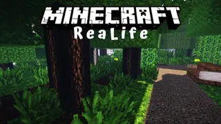 ReaLife Resource Pack 1.14.4, 1.13.2 – Texture Pack