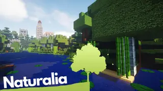Naturalia Resource Pack 1.14.4, 1.13.2 – Texture Pack