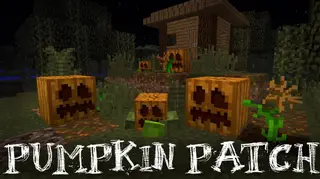 Pumpkin Patch Resource Pack (1.12.2)