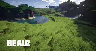 Beau Resource Pack 1.12.2, 1.11.2