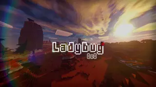 Ladybug Resource Pack 1.12.2, 1.11.2