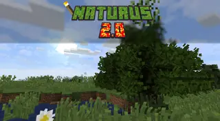 Naturus Resource Pack 1.13.2, 1.12.2