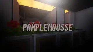 Pamplemousse Resource Pack 1.9.4, 1.8.9