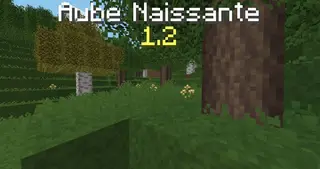 Aube Naissante Resource Pack 1.12.2, 1.11.2