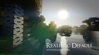 Realistic Default Resource Pack 1.11.2, 1.10.2