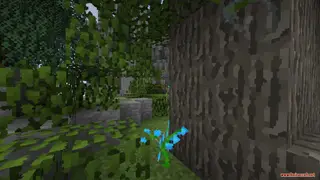 Oiled Resource Pack 1.12.2, 1.11.2