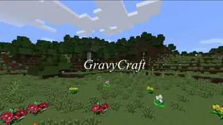 GravyCraft Resource Pack 1.11.2, 1.10.2