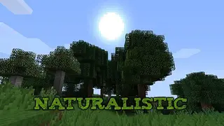 Naturalistic Resource Pack