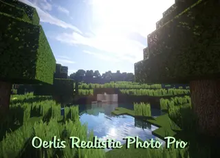 Oerlis Realistic Photo Pro Resource Pack by DelTaz
