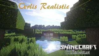 Oerlis Realistic x256 Resource Pack