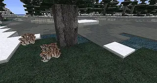 CreativeX's Realism Resource Pack