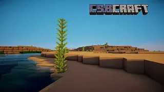 CSB Resource Pack