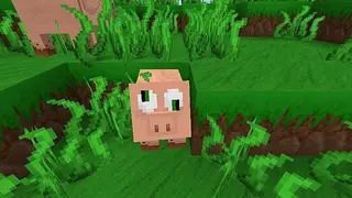 CartoonyAdventure Resource Pack