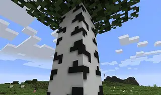 Ferocious Resource Pack
