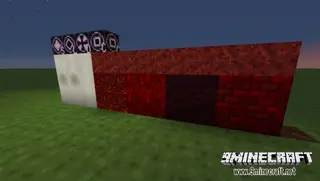 Dancing Life Resource Pack