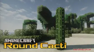 Round Cacti Resource Pack (26.1.2, 1.20.1) – Lifelike 3D Cacti for Natural