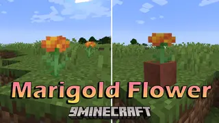 Marigold Flower Mod (1.21.1, 1.20.1) – Flourish Your World