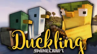 Duckling Mod (1.21.1, 1.20.1) – Quacky Little Friends