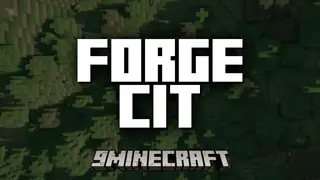 Forge CIT Mod (1.21.1, 1.20.1) – Make Your Gear Look Unique