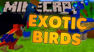 Exotic Birds Mod (1.20.1, 1.19.2) – Hear the World Come Alive