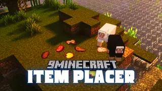 Item Placer Mod (1.21.1, 1.20.1) – Placement of Item Stacks On Block Faces