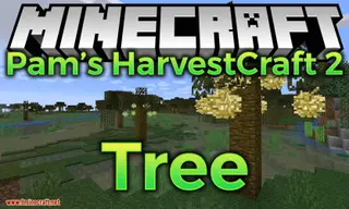 Pam's HarvestCraft 2 – Trees Mod (1.21.1, 1.20.1) – Many New Fruit-Bearing Trees