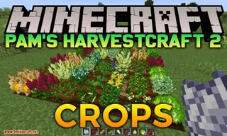 Pam's HarvestCraft 2 – Crops Mod (1.21.1, 1.20.1) – Many New Crops