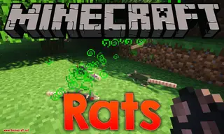 Rats Mod (1.20.1, 1.16.5) – Awesome Mod About Rat