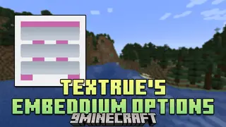 TexTrue's Embeddium Options Mod (1.20.4, 1.20.1) – Enhanced Graphics Settings UI